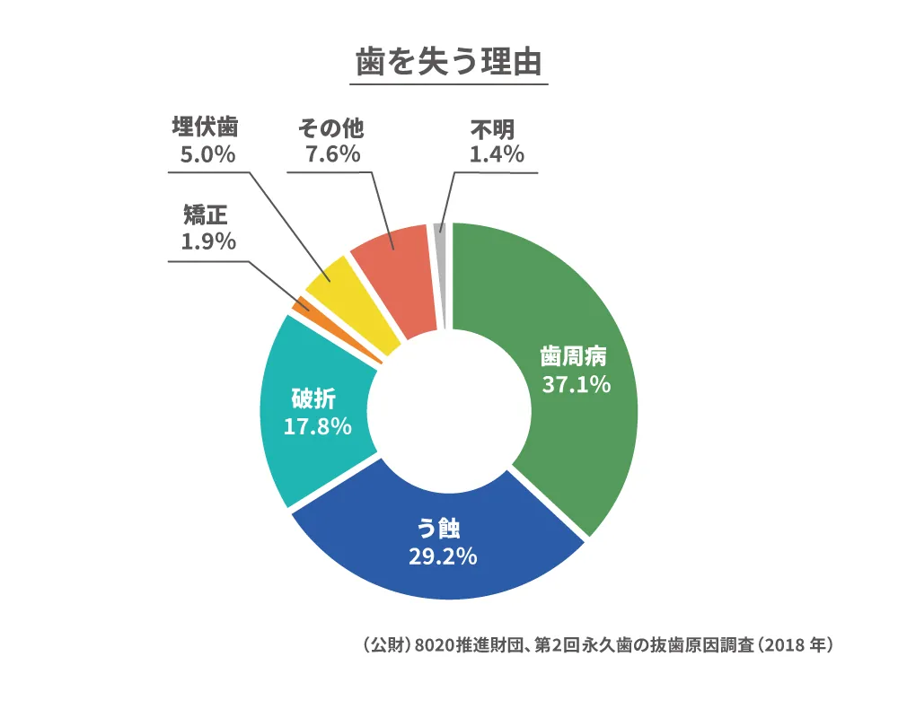 定期検診で歯のクリーニングをしている様子